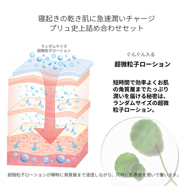 <日本製＞Vita レチノール シカ 美容液- 肌再生と鎮静効果！ハリと弾力を与える美容液　【CCSS00001-D-050】
