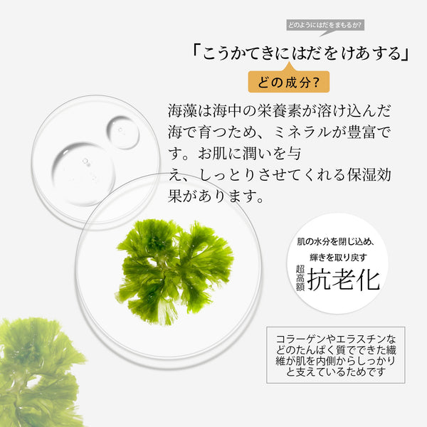 MITOMO 天然海藻浄化フェイシャルエッセンスマスク- 豊かな海藻の栄養で肌をリフレッシュ！【MTSS00512-C-5Jx003】